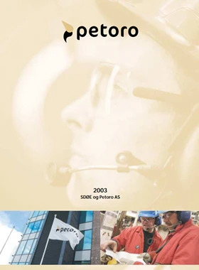arsrapport-2003