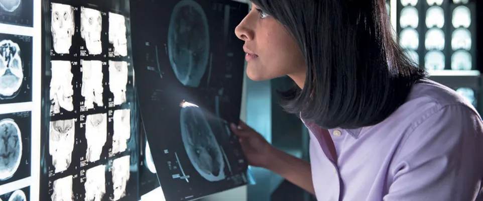 PetoroPerspektiv16-17